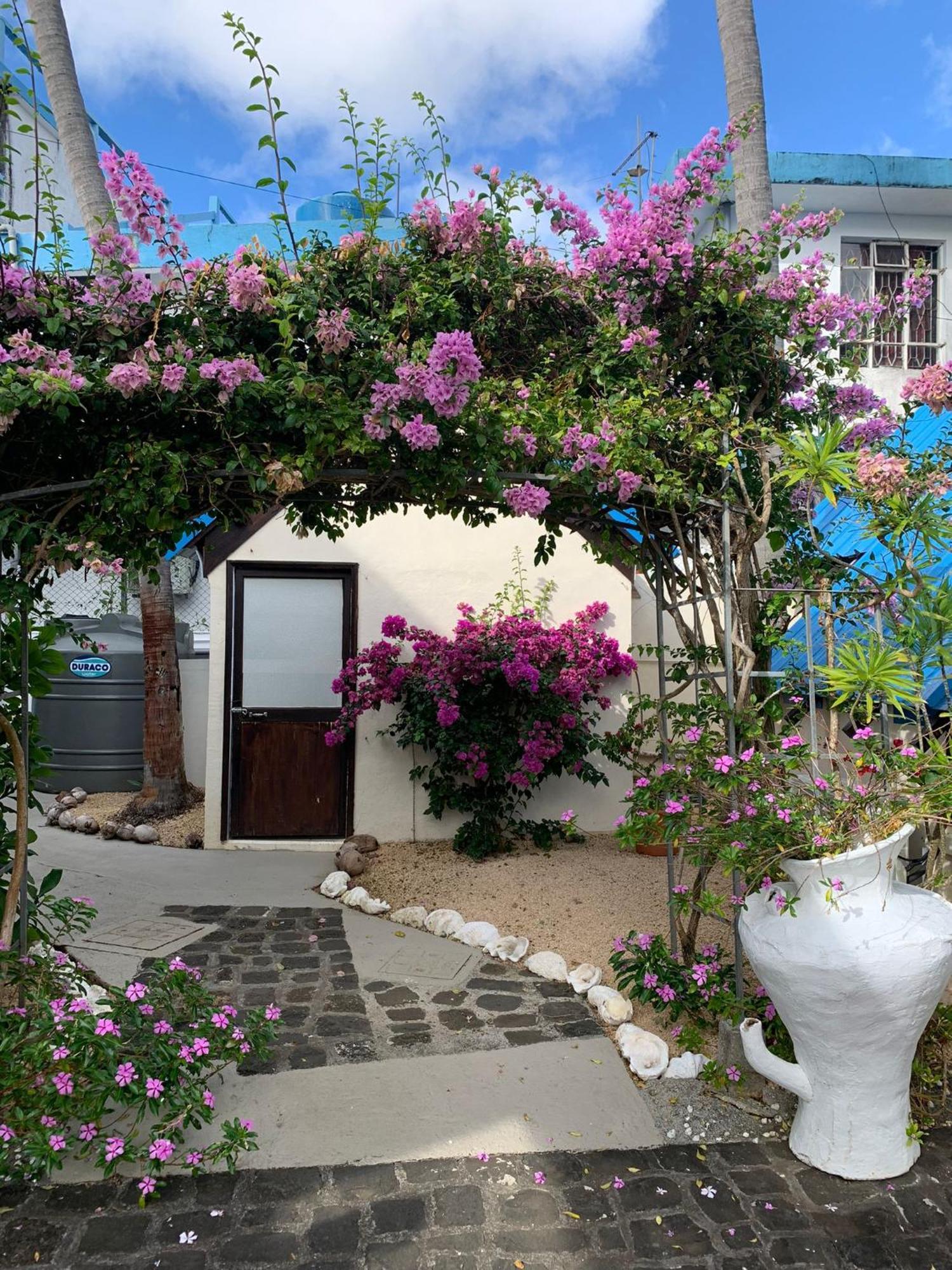 Chillpill Guest House Маэбур Экстерьер фото